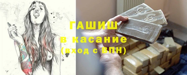 СК Пересвет