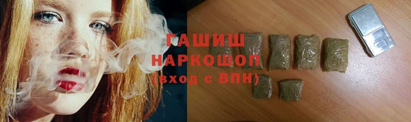 СК Дедовск