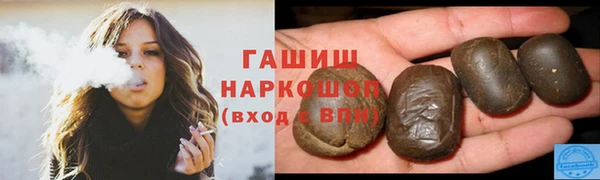СК Пересвет