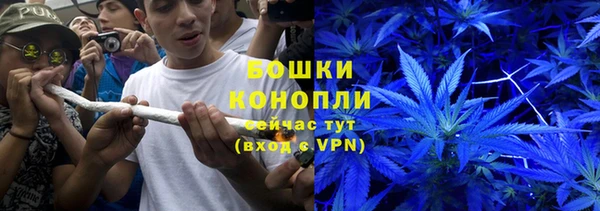 СК Пересвет