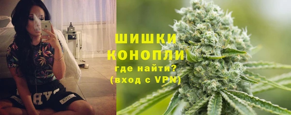 СК Пересвет