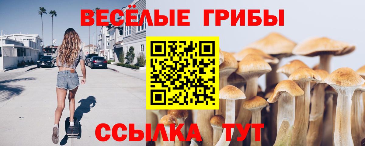 Отрадное  Галлюциногенные грибы Cubensis  Псилоцибиновые грибы GOLDEN TEACHER  дарнет шоп  Вход с VPN 