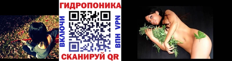 Конопля VHQ наркошоп Отрадное